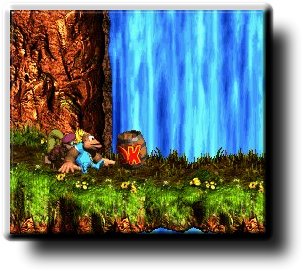 Spielszene aus Donkey Kong Country III