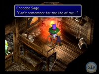 Cloud beim Chocobo-Weisen