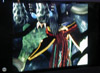 [klicken]