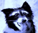 Benutzeravatar