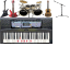 Rock Instruments